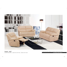 Living Room Genuine Leather Sofa (850)